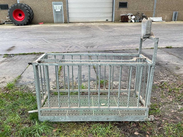 Weegbrug biggen - varkens - afbeelding 3 van  5