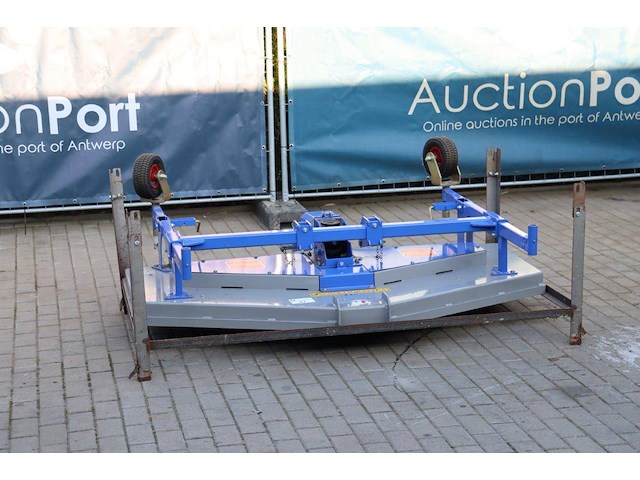 Weidebloter morgnieux v01c83 nieuw - afbeelding 1 van  1