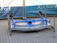 Weidebloter morgnieux v01c83 nieuw - afbeelding 1 van  1