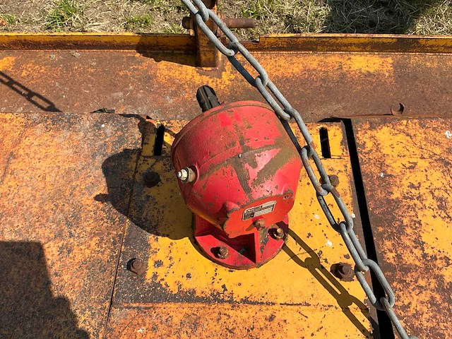 Weidebloter - afbeelding 2 van  11