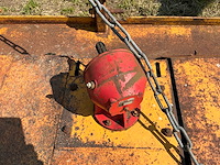 Weidebloter - afbeelding 2 van  11