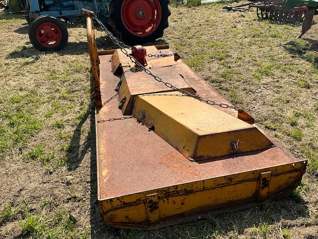 Weidebloter - afbeelding 4 van  11