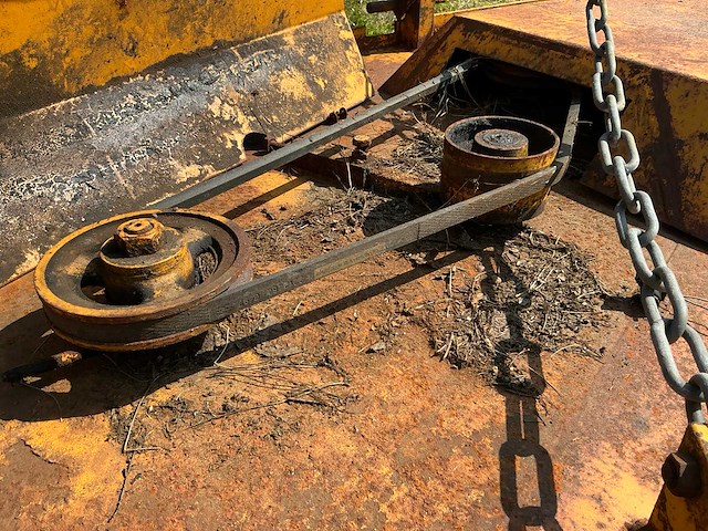 Weidebloter - afbeelding 11 van  11