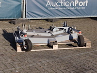 Weidebloter - afbeelding 1 van  1