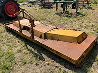 Weidebloter - afbeelding 1 van  6