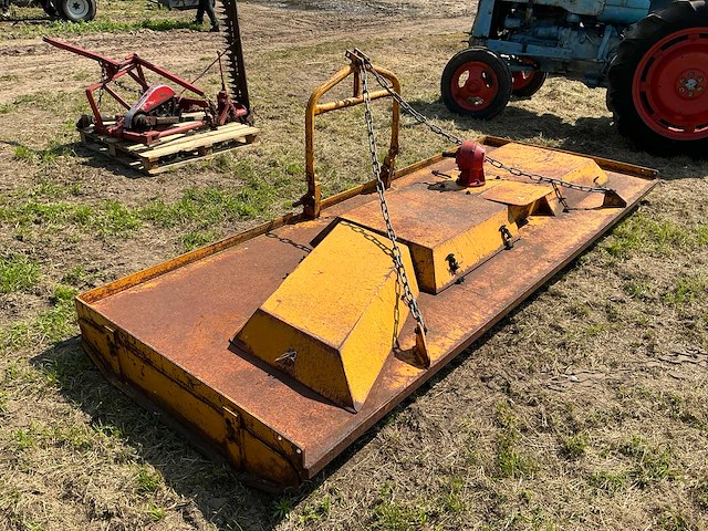 Weidebloter - afbeelding 3 van  6