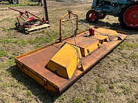 Weidebloter - afbeelding 3 van  6