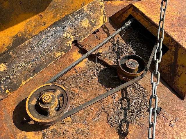 Weidebloter - afbeelding 6 van  6