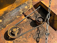 Weidebloter - afbeelding 6 van  6