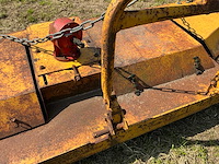 Weidebloter - afbeelding 2 van  8