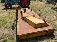 Weidebloter - afbeelding 3 van  8