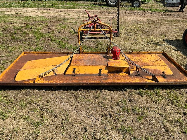 Weidebloter - afbeelding 5 van  8