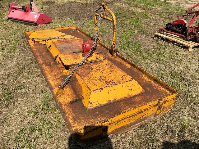 Weidebloter - afbeelding 7 van  8