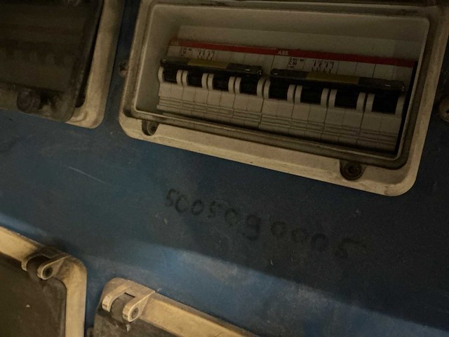 Werf paddestoel - afbeelding 8 van  9