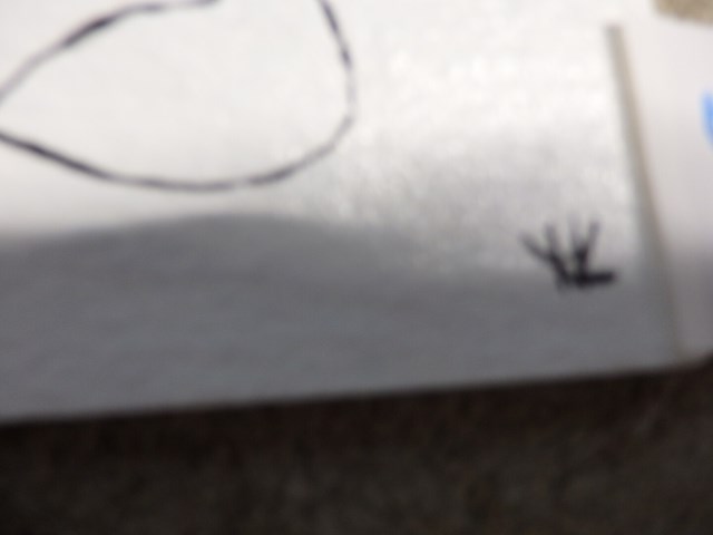 Werkje disney - afbeelding 2 van  2