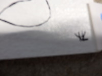 Werkje disney - afbeelding 2 van  2