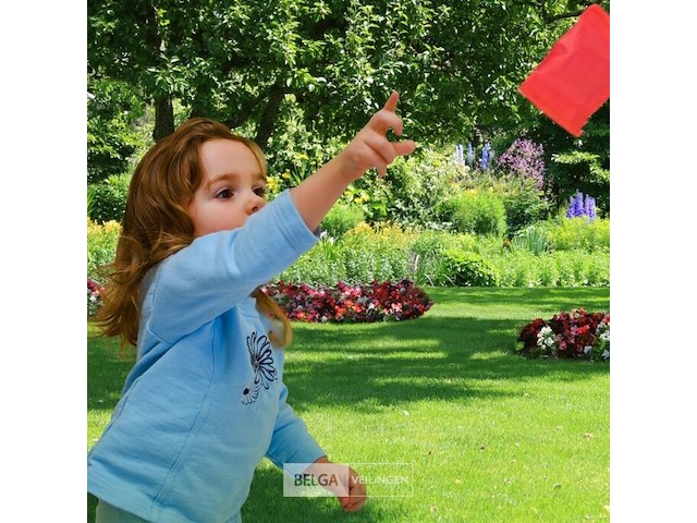 Werpspel dino's - afbeelding 5 van  6