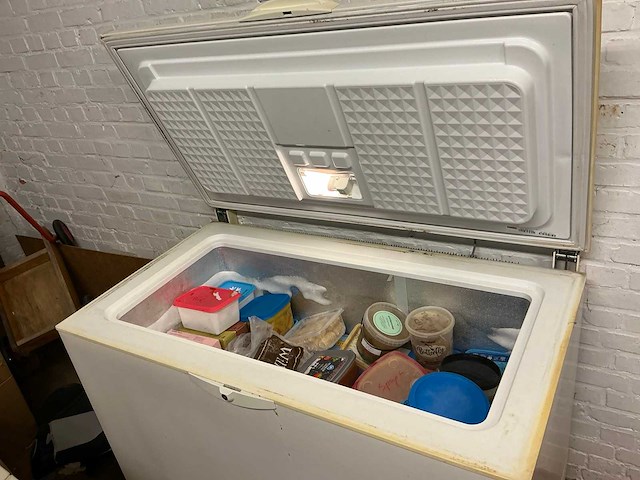 Whirlpool afg 503-a/h vriezer - afbeelding 4 van  6