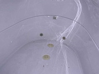 Whirlpool floating tank - afbeelding 4 van  12