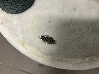 Whisker litter-robot 4 elektrische kattenbak - afbeelding 6 van  7