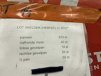 Wienerberger herfst partij sneldek- dakpan