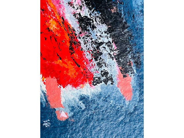 Wil willemsen - kleurenzeefdruk - afbeelding 4 van  9