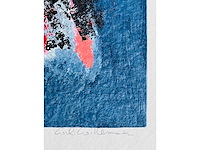 Wil willemsen - kleurenzeefdruk - afbeelding 9 van  9