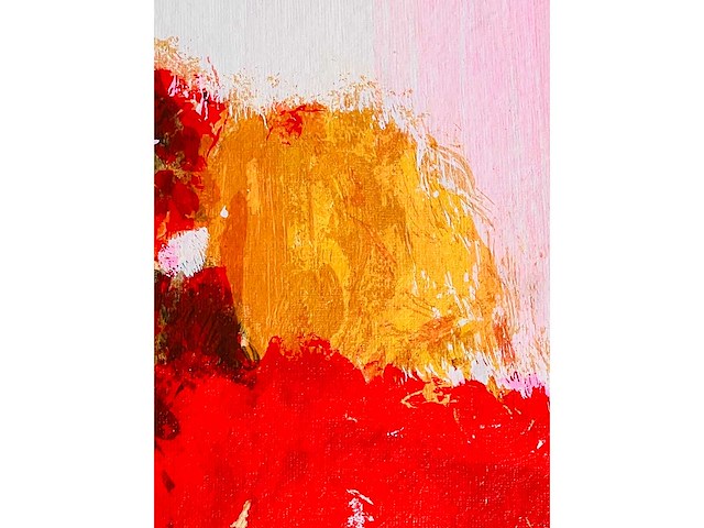 Wil willemsen - kleurenzeefdruk - afbeelding 5 van  7