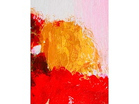 Wil willemsen - kleurenzeefdruk - afbeelding 5 van  7