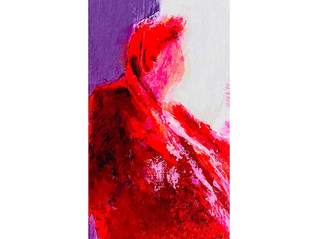 Wil willemsen - kleurenzeefdruk - afbeelding 2 van  8