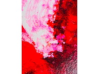 Wil willemsen - kleurenzeefdruk - afbeelding 7 van  8