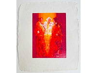 Wil willemsen - kleurenzeefdruk - afbeelding 4 van  7