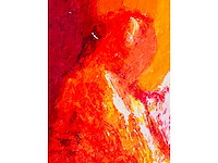 Wil willemsen - kleurenzeefdruk - afbeelding 5 van  7