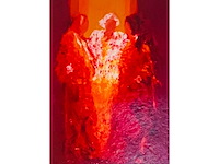 Wil willemsen - kleurenzeefdruk - afbeelding 1 van  6