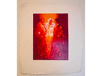 Wil willemsen - kleurenzeefdruk - afbeelding 6 van  6