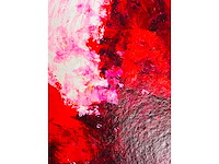 Wil willemsen - zeefdruk - afbeelding 3 van  11