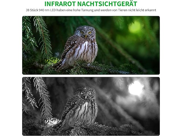 Wildcamera 32mp hd - afbeelding 3 van  5