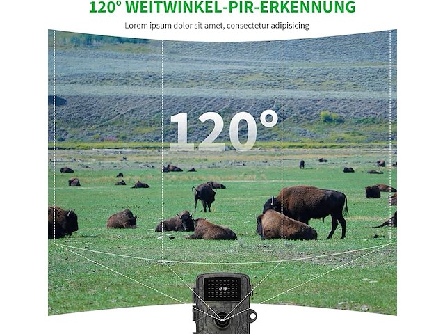 Wildcamera 32mp hd - afbeelding 4 van  5