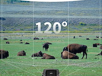 Wildcamera 32mp hd - afbeelding 4 van  5