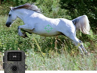 Wildcamera 32mp hd - afbeelding 5 van  5