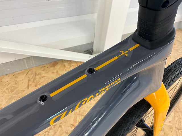 Wilier adlar grx gravelfiets - afbeelding 3 van  20