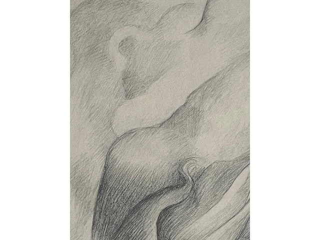 Willem vermandere - ingelijste litho - lage instelprijs - afbeelding 9 van  10