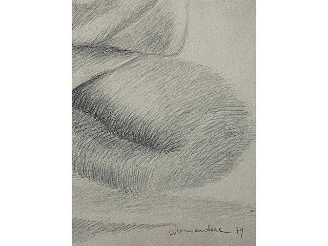 Willem vermandere - ingelijste litho - lage instelprijs - afbeelding 10 van  10