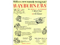 Williams - hayburners - flipperkast - afbeelding 5 van  6