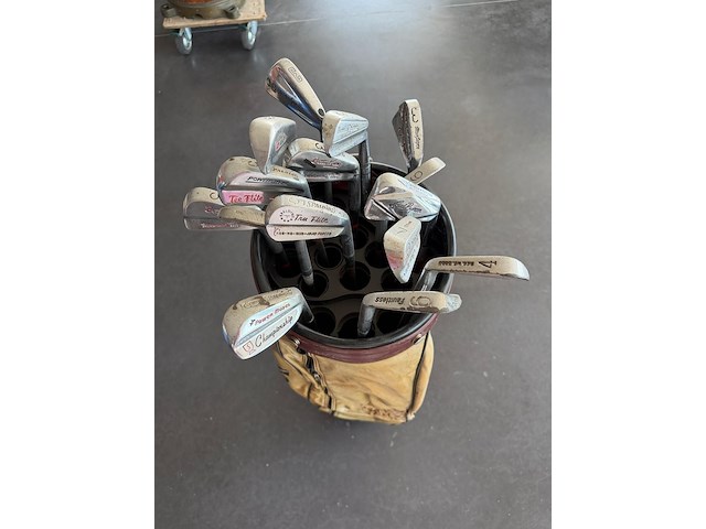 Wilson - golfzak met sticks - afbeelding 1 van  2