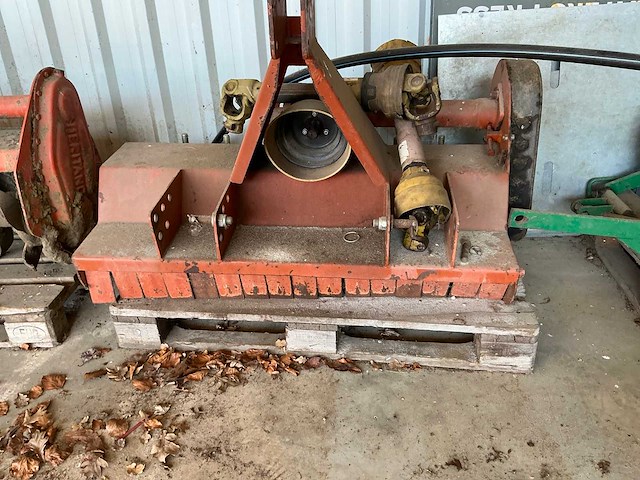 Wimat gedragen klepelmaaier - afbeelding 3 van  4