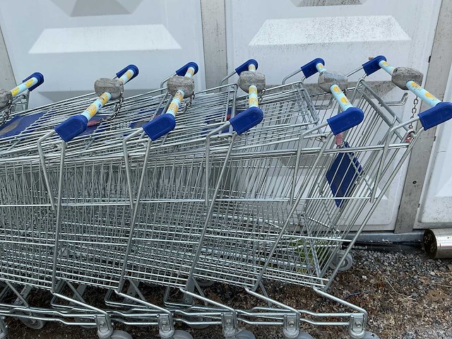 Winkelkarren (10x) - afbeelding 1 van  2