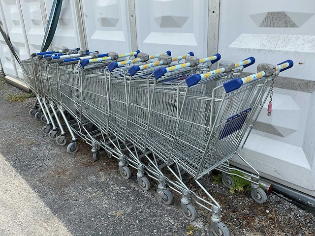 Winkelkarren (10x) - afbeelding 2 van  2
