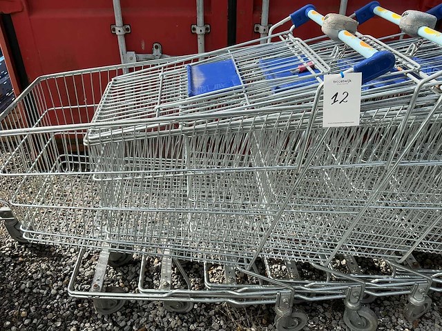 Winkelkarren (11x) - afbeelding 1 van  2