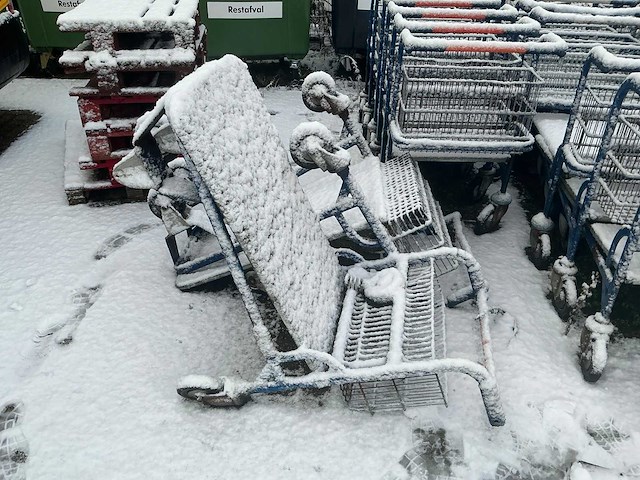 Winkelkarren (25x) - afbeelding 3 van  5